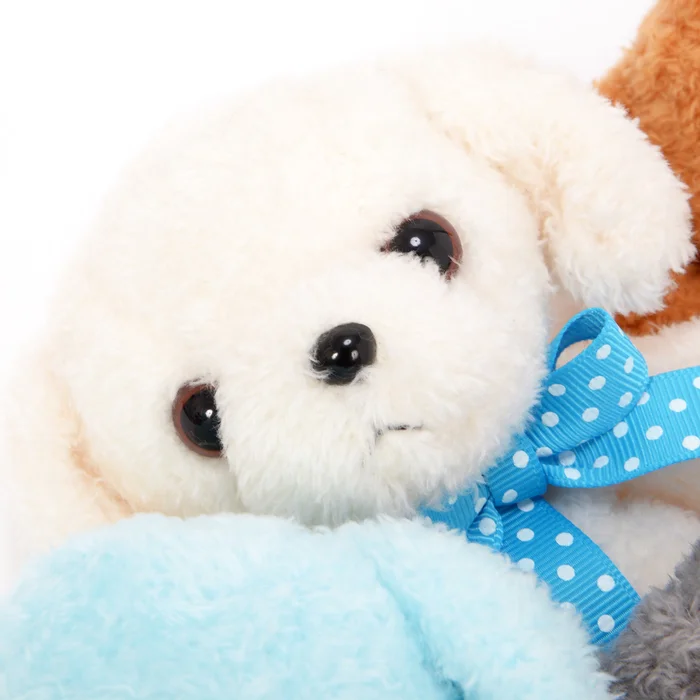 Kuta Kuta Toy Poodle Plush Collection 18 Kuta Kuta Toy Poodle Plush Collection - Image 16