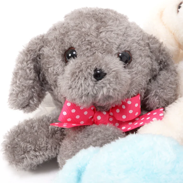Kuta Kuta Toy Poodle Plush Collection 21 Kuta Kuta Toy Poodle Plush Collection - Image 19