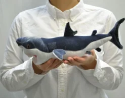 Great White Shark Plushie -CAPCOM Shop 5afe07fe9aed4fb087a9d85db932179c.jpg