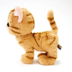 Kitten Plush: American Shorthair -CAPCOM Shop 9b7a647747e7421eb57abfc8fc33f415.jpg