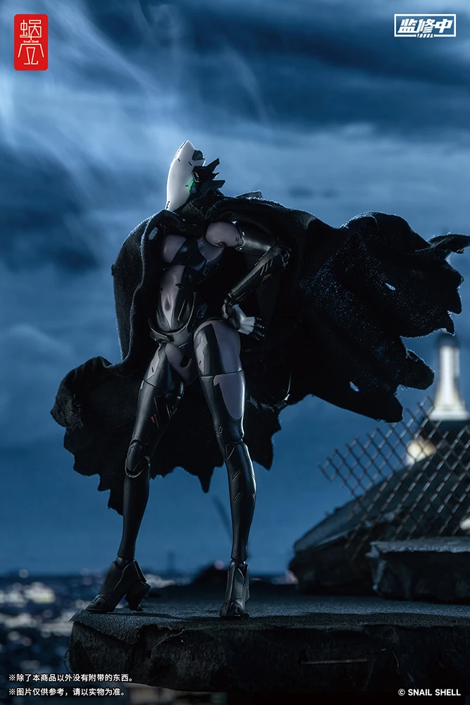 Assassin 1/12 Scale Action Figure 11 Assassin 1/12 Scale Action Figure - Image 9