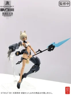 G.N.Project Vol. 1 WOLF-001: Swimsuit Figure Body & Equipment Set 1/12 Scale Action Figure -CAPCOM Shop c0ce5412527d449dba4cf43c3443cb48.jpg