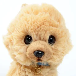 PUPS! Small Pomeranian Plush -CAPCOM Shop c7476dd0a6a4401682b358764334a9ef.jpg